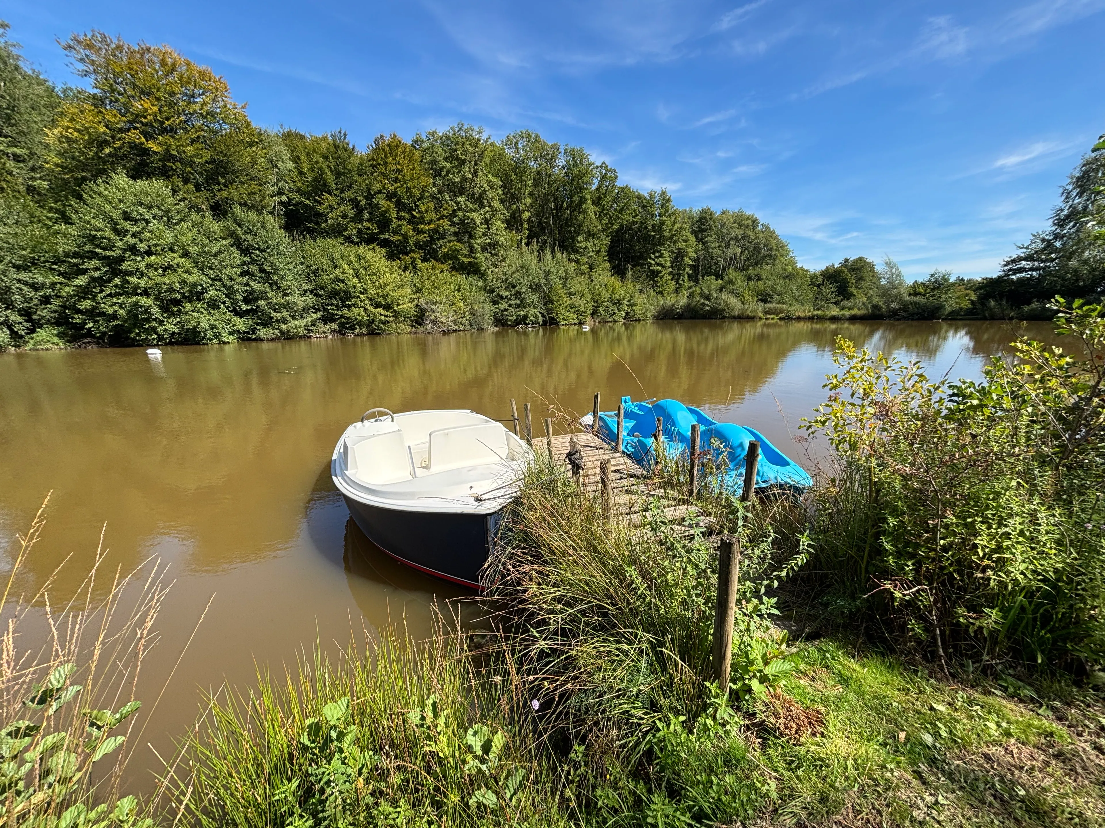 Roulotte dans le Territoire de Belfort pour 2 personnes au bord d’un étang