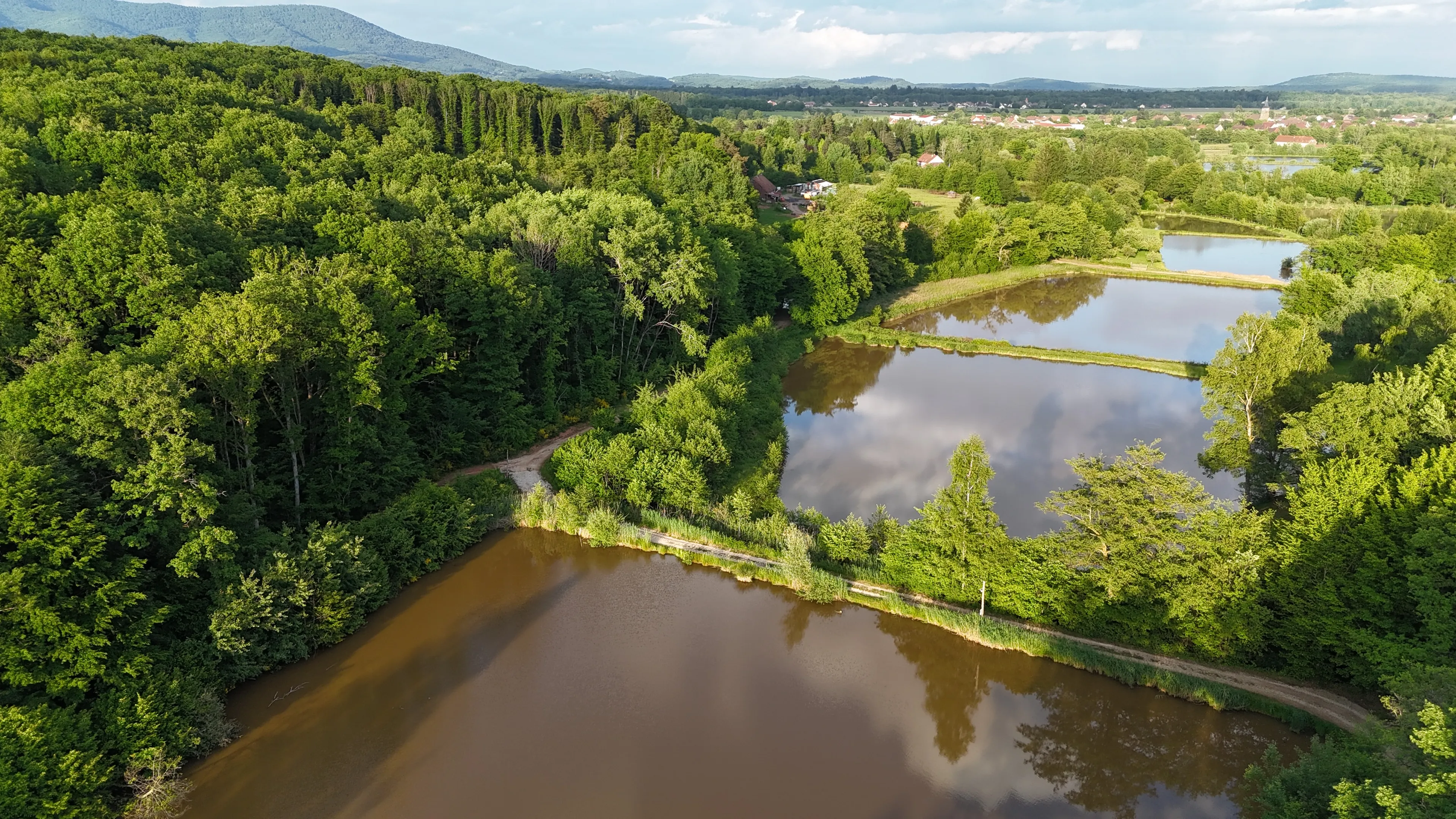 Roulotte dans le Territoire de Belfort pour 2 personnes au bord d’un étang