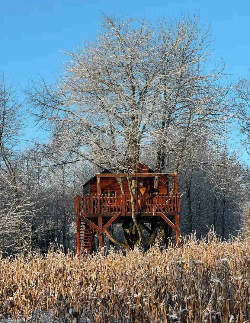 Cabana perched by two private ponds in the Sarthe