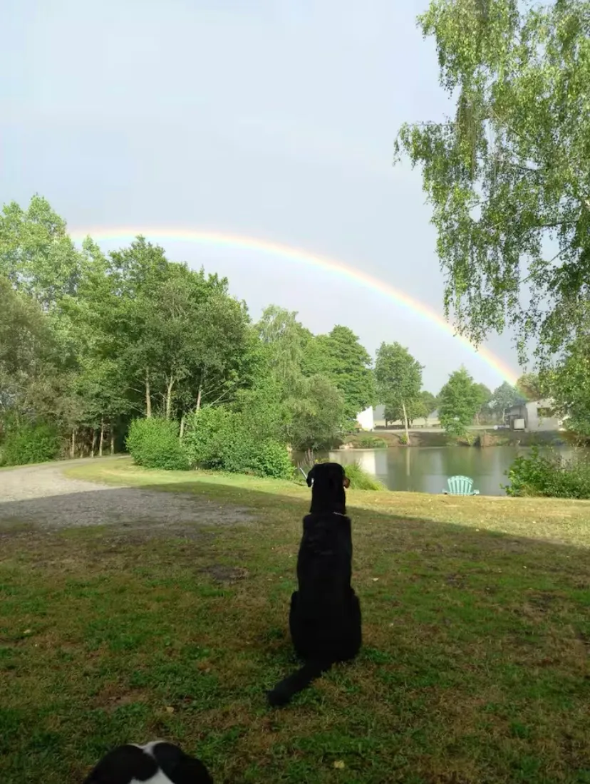 Chalet en bord d’un étang privé dans le Limousin