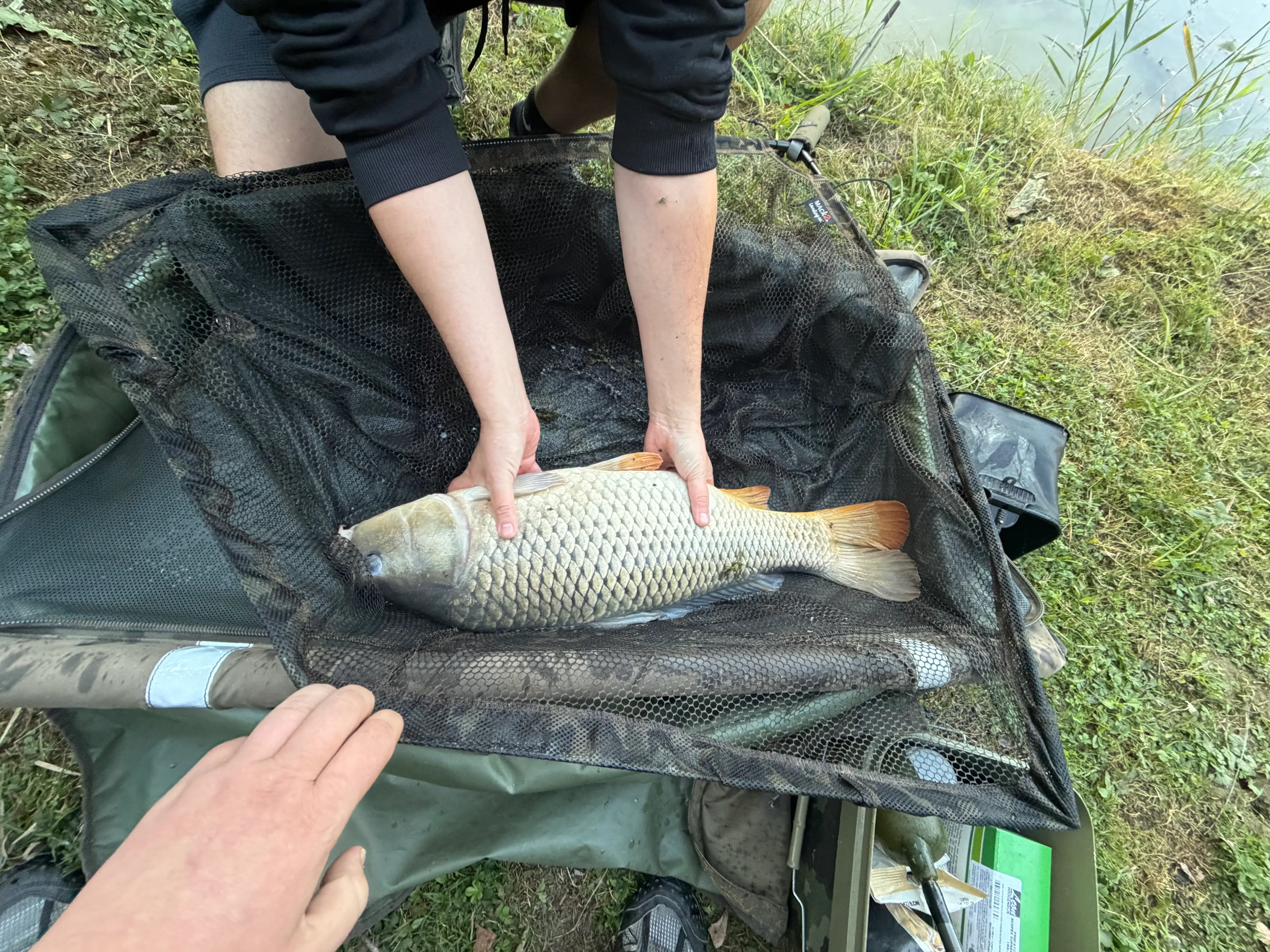 Une escapade insolite à bord d’un bateau au cœur de la nature