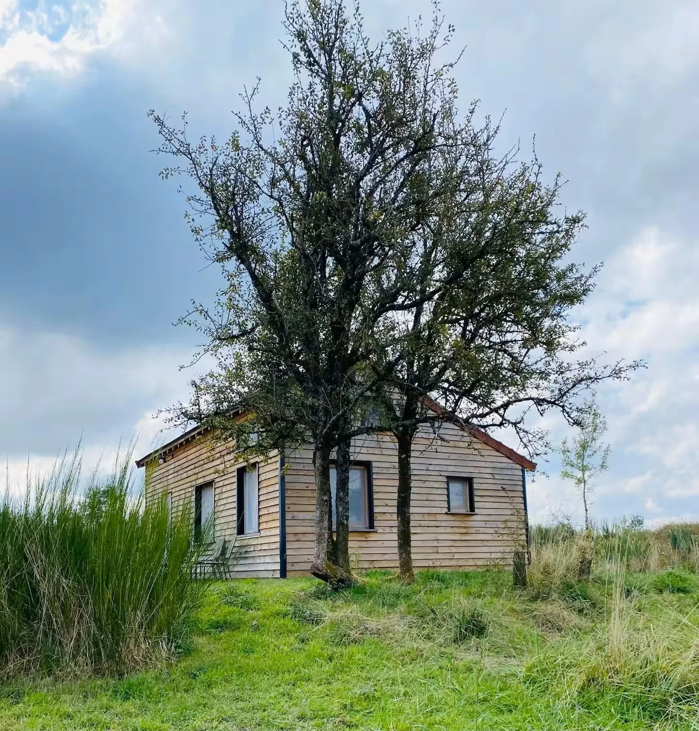 Cabane pour les ornithologues avec accès privé à un étang