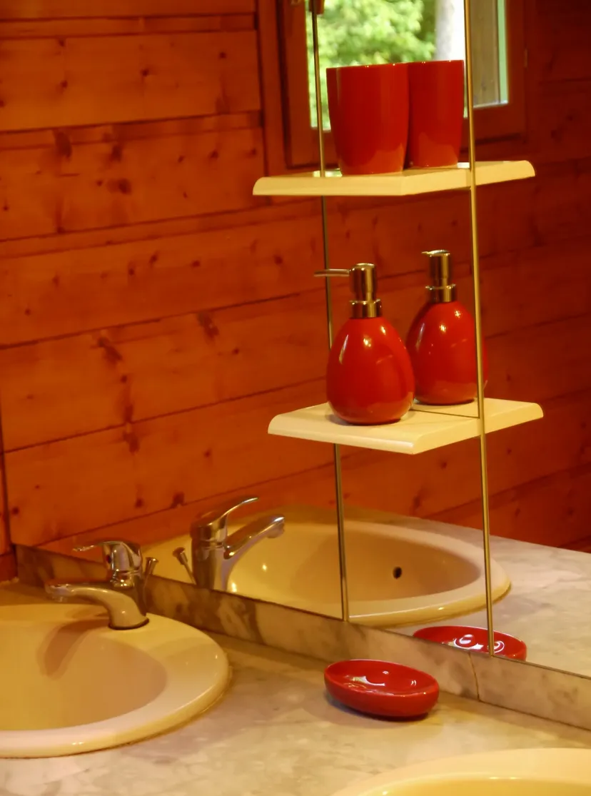 Chalet au bord d’un étang de 1.5 ha