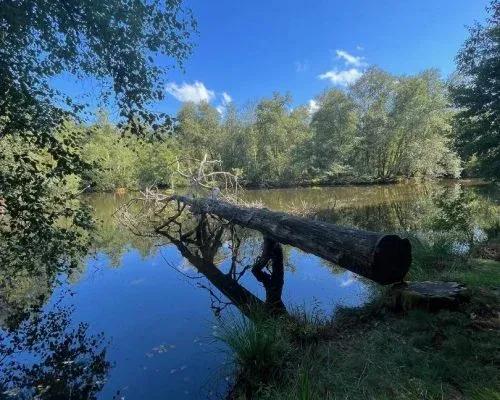 Chalet au bord d’un étang de 1.5 ha