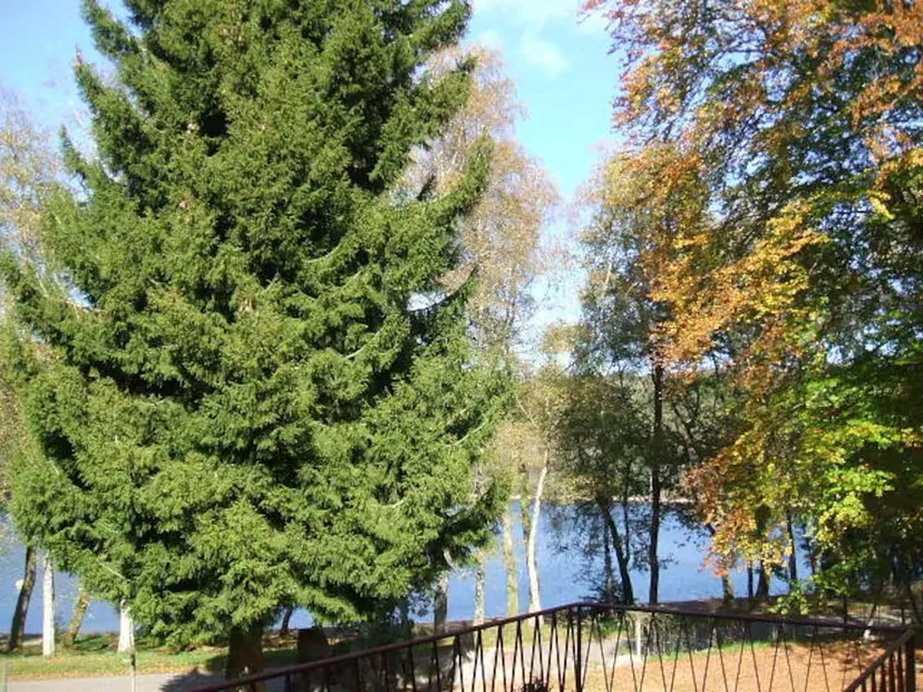 Charmante maison en bordure d'un lac de 366 ha