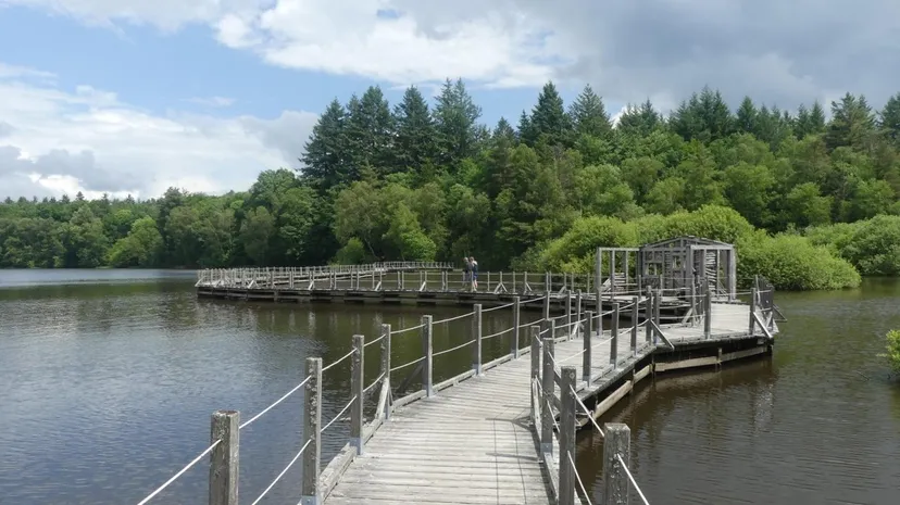 Charmante maison en bordure d'un lac de 366 ha