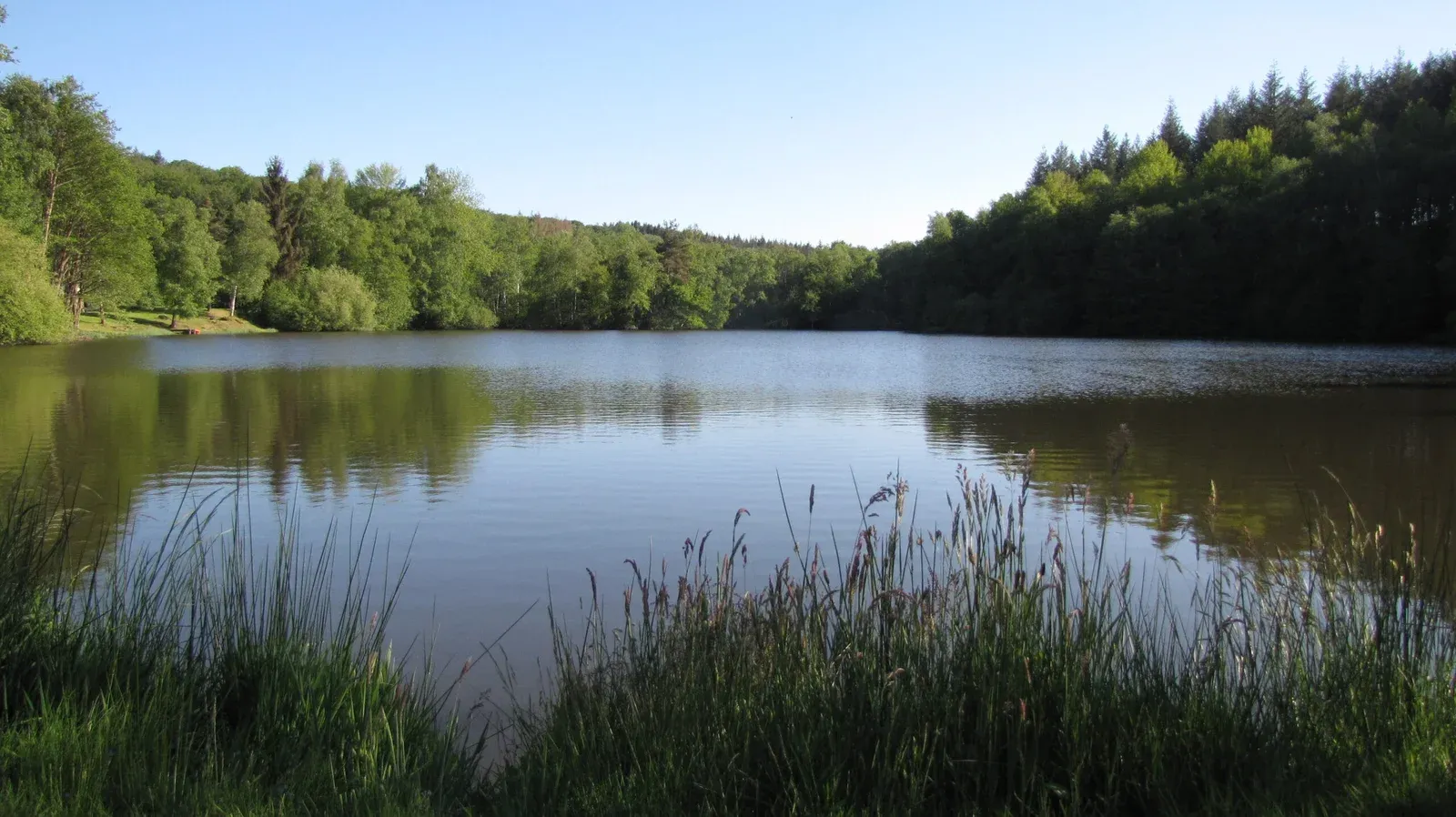 Grand chalet avec accès à un étang privé