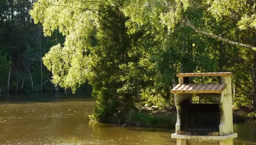 Chalet au bord d’un étang de 1.5 ha