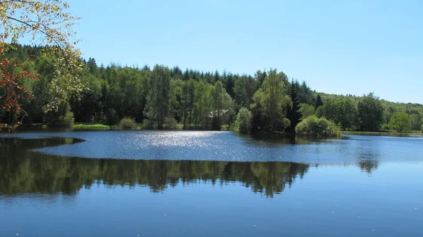 Chalet au bord d’un étang de 1.5 ha