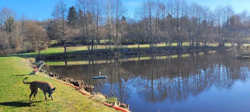 Gite and 2 cabins with access to a private pond