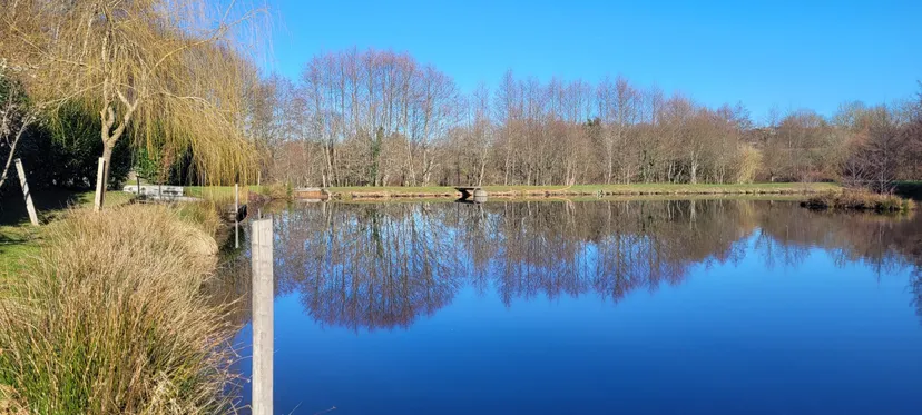 Gite and 2 cabins with access to a private pond