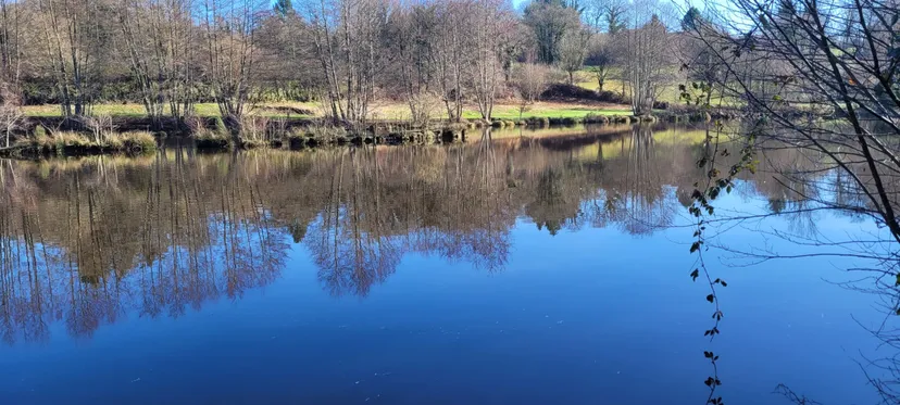 Gite and 2 cabins with access to a private pond