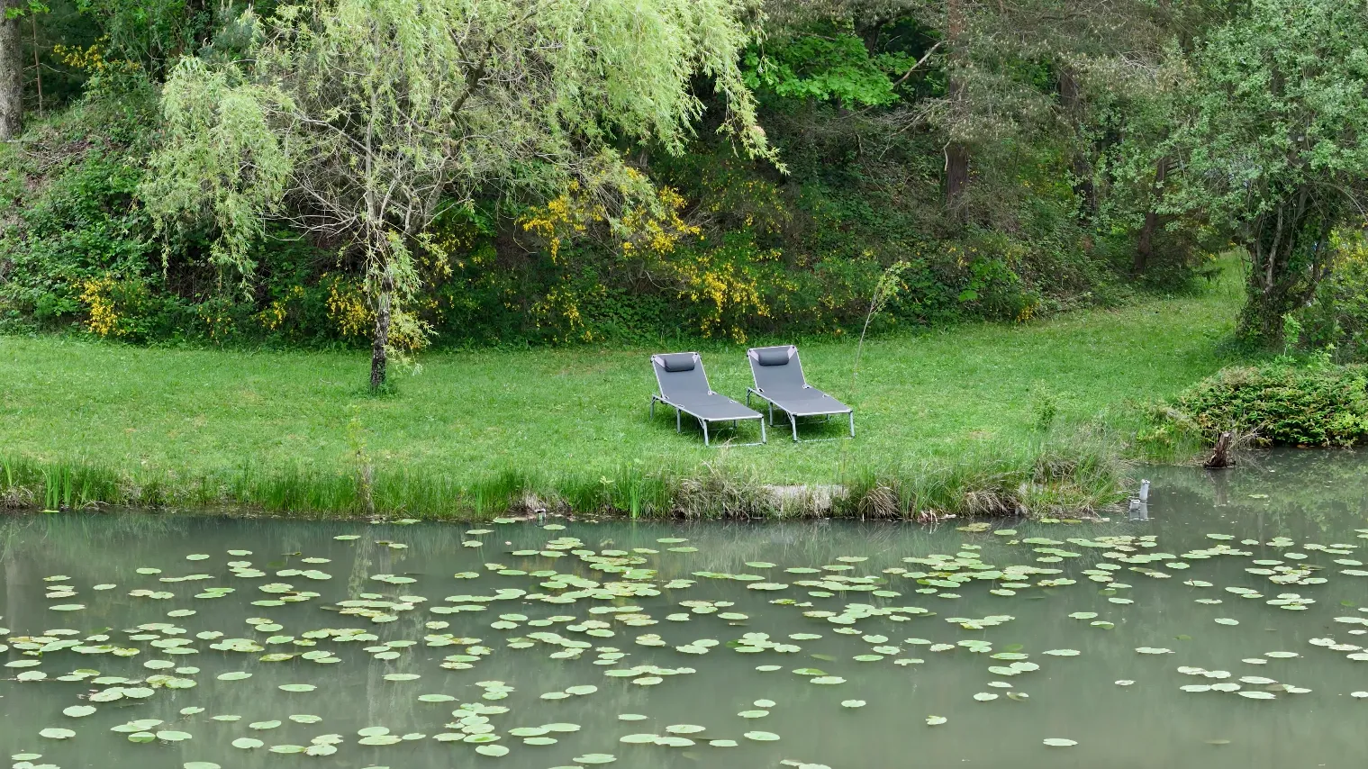 Chalet tout confort pour 4 personnes avec son étang privé