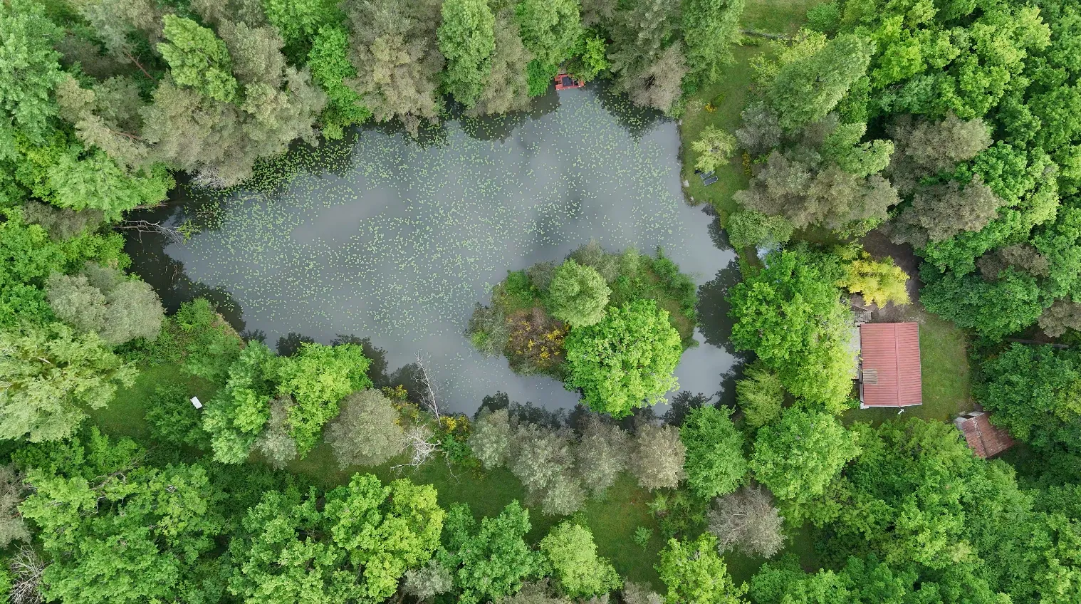 Chalet tout confort pour 4 personnes avec son étang privé