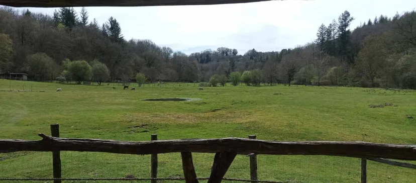 Cabane en bois perchée sur pilotis avec accès privé à la rivière