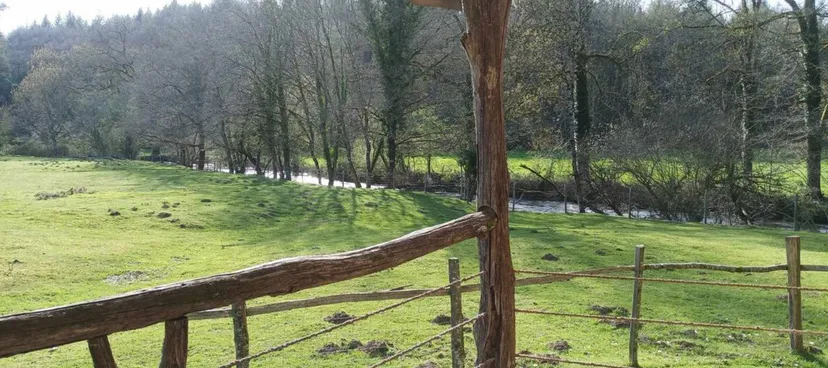 Cabane en bois perchée sur pilotis avec accès privé à la rivière