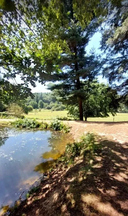 Refuge paisible avec accès privé à la rivière et un petit étang
