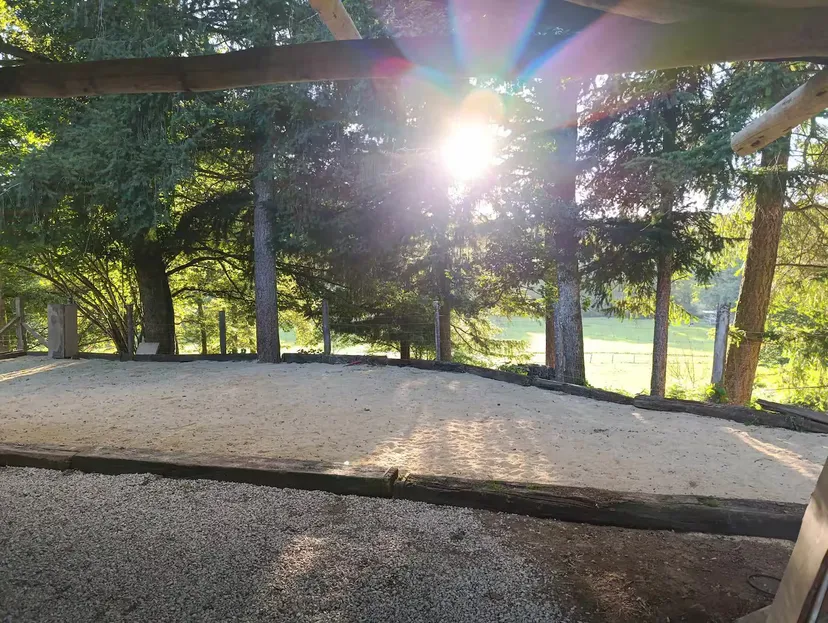 Cabane en bois perchée sur pilotis avec accès privé à la rivière