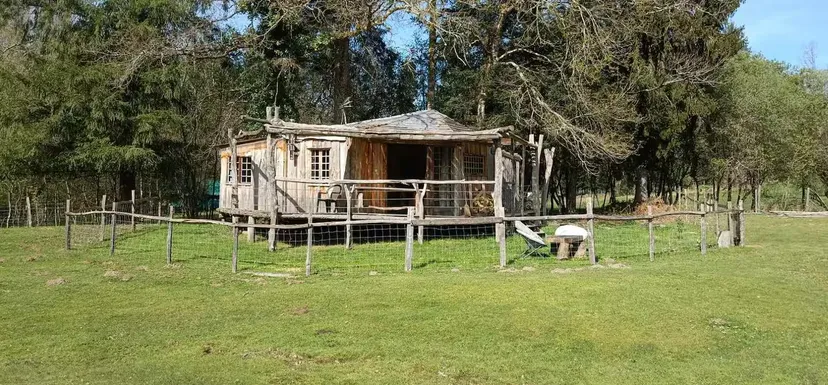 Cabane en bois perchée sur pilotis avec accès privé à la rivière
