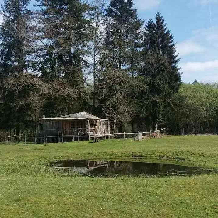 Cabane en bois perchée sur pilotis avec accès privé à la rivière