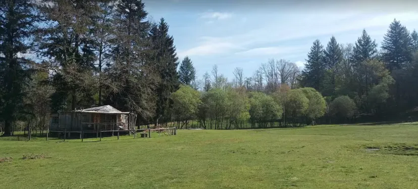 Cabane en bois perchée sur pilotis avec accès privé à la rivière