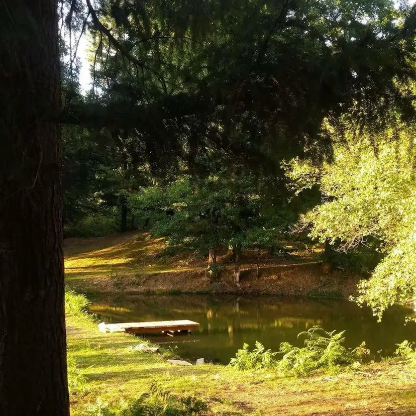 Cabane en bois perchée sur pilotis avec accès privé à la rivière