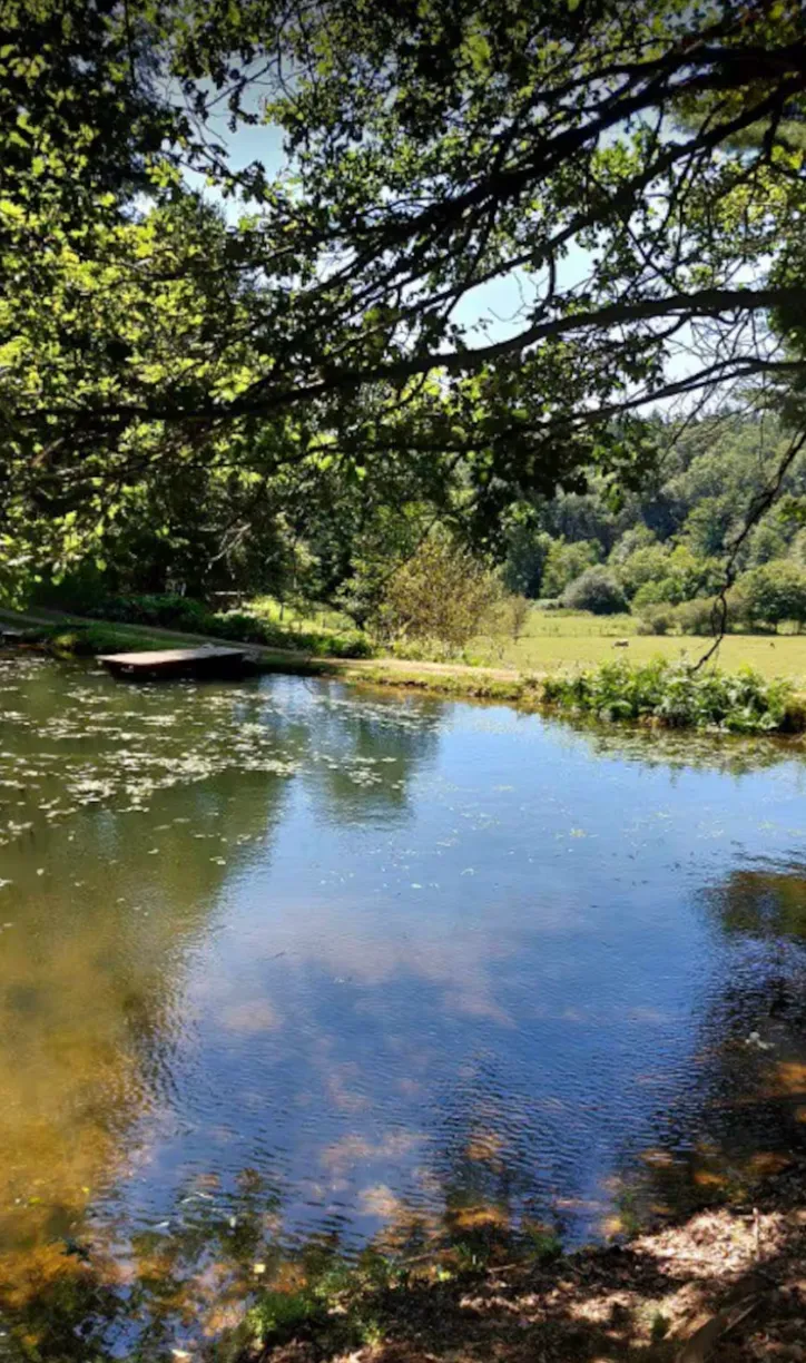 Refuge paisible avec accès privé à la rivière et un petit étang