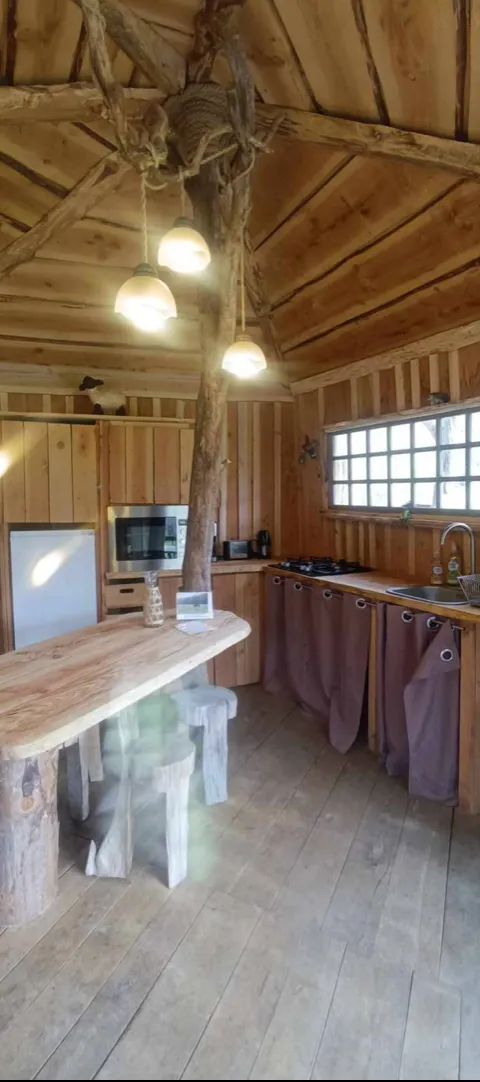 Cabane en bois perchée sur pilotis avec accès privé à la rivière
