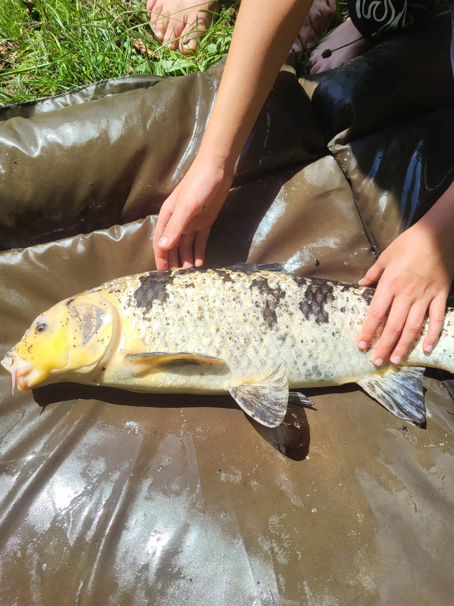 Maison champêtre et son étang en Haute-Saône