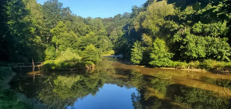 Gîte au bord d'un étang avec son île