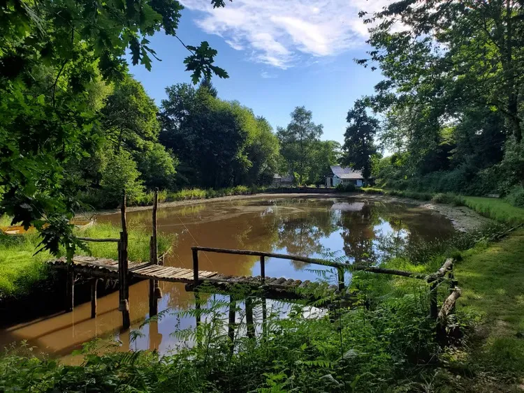 Gîte au bord d'un étang avec son île