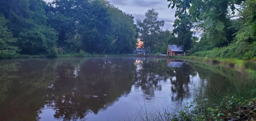 Gîte au bord d'un étang avec son île