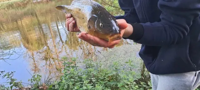 Loft sur une propriété privé avec son étang de pêche