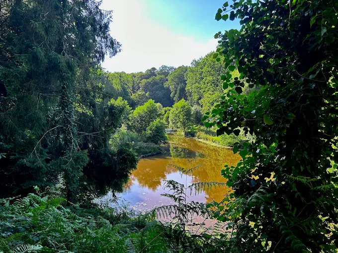 Gîte au bord d'un étang avec son île