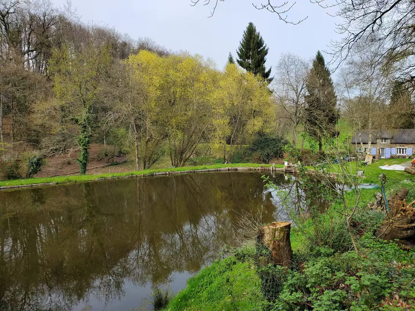 Gîte au bord d'un étang avec son île