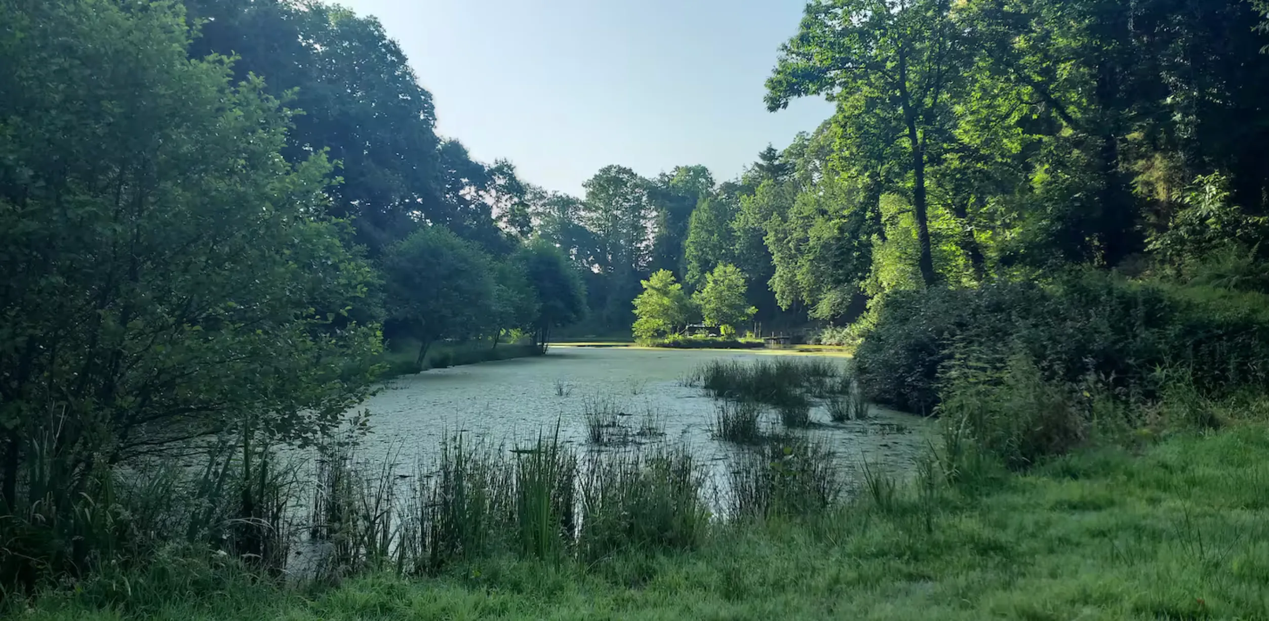 Gîte au bord d'un étang avec son île