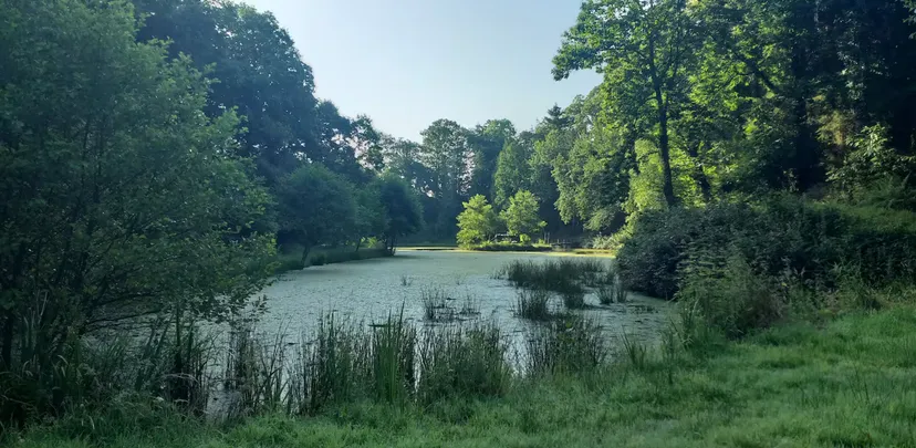 Gîte au bord d'un étang avec son île