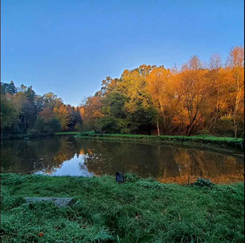 Gîte au bord d'un étang avec son île
