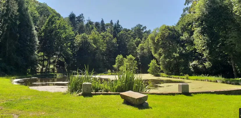Gîte au bord d'un étang avec son île