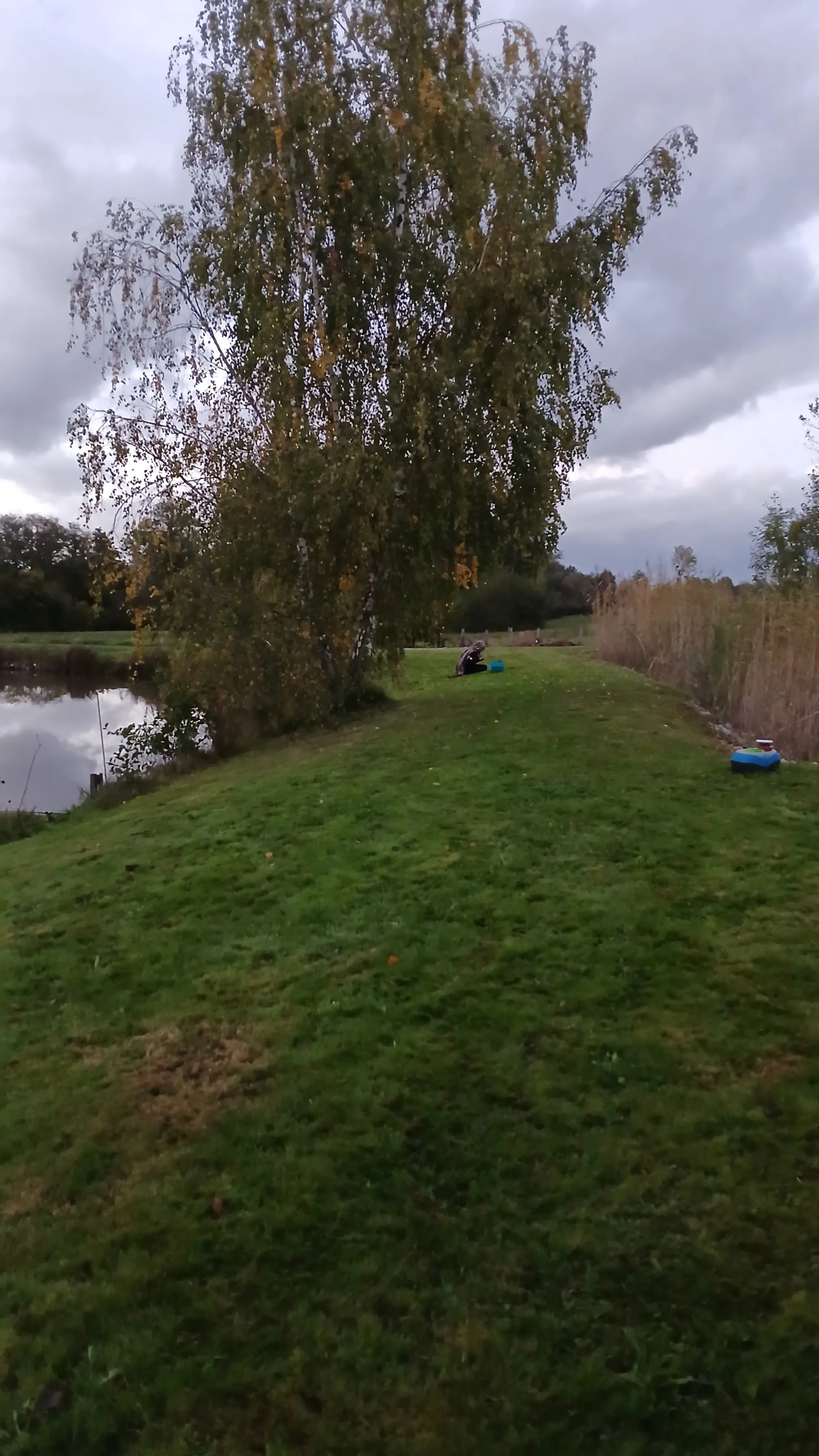 Etang à louer de 1.5ha avec une cabane