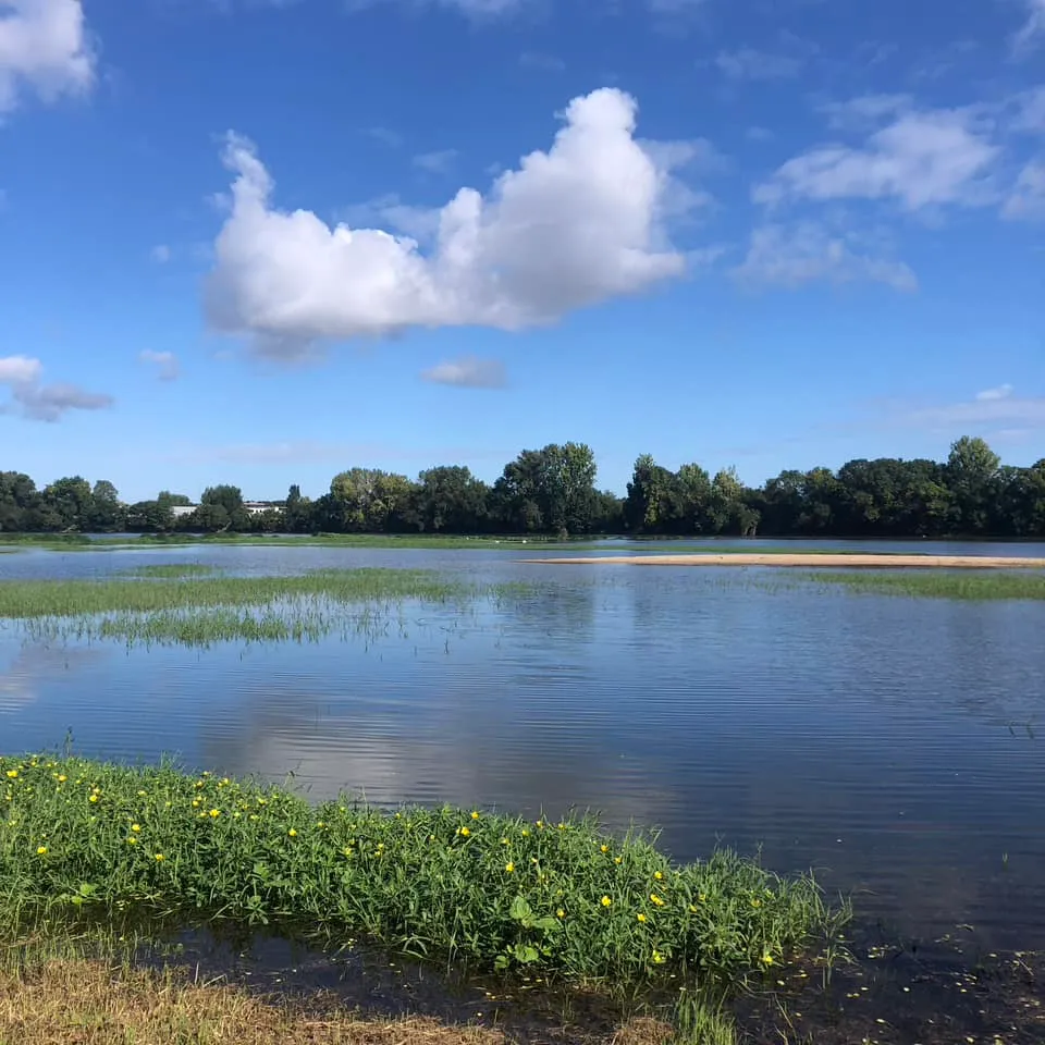 Maison de charme au bord de la Loire