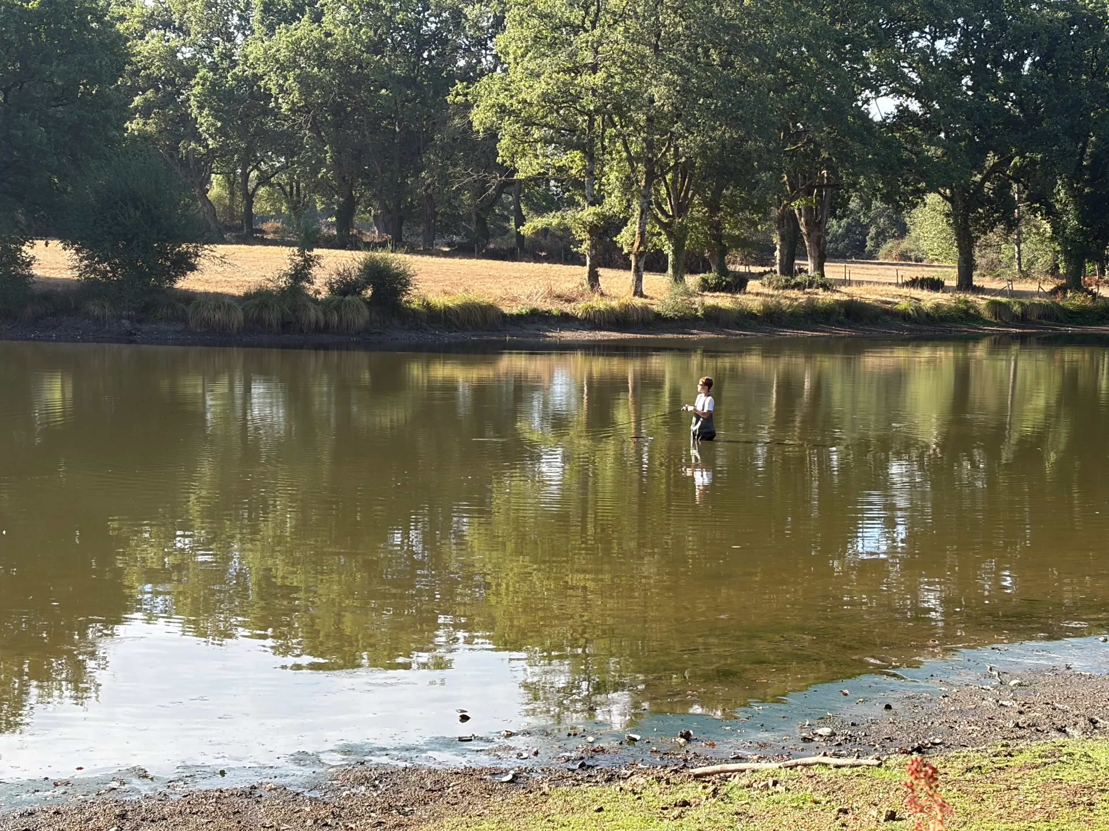 Private pond & waterfront accommodation with two ponds