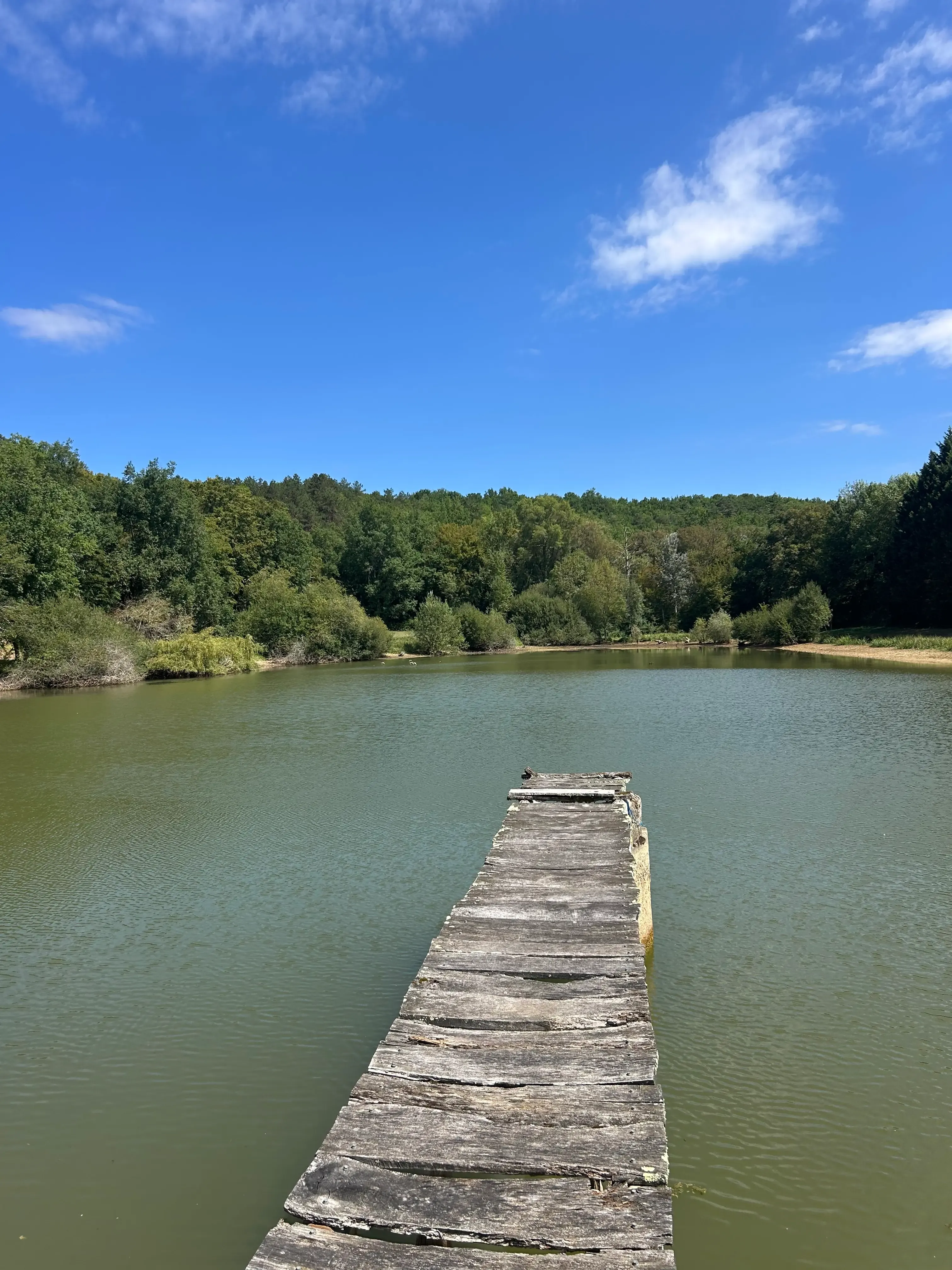 Private pond in Dordogne