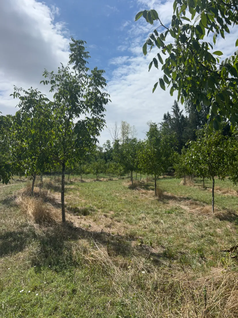 Étang privé en Dordogne