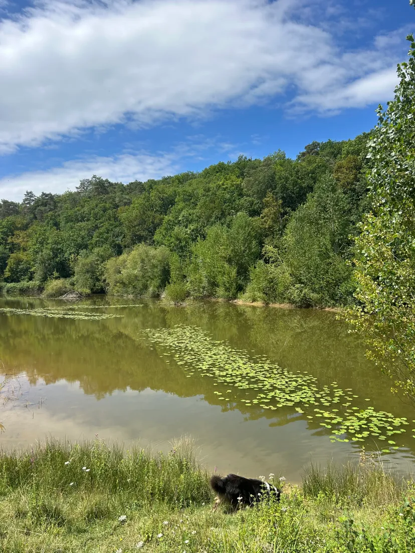 Étang privé en Dordogne
