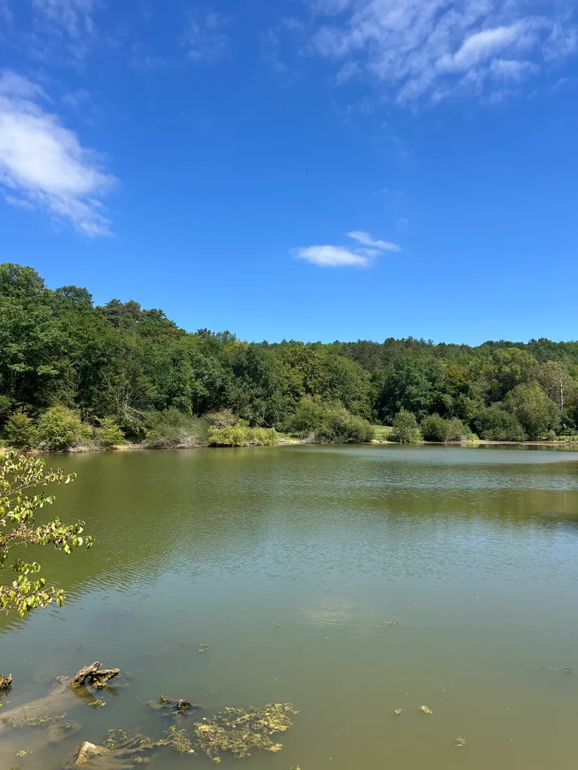 Étang privé en Dordogne