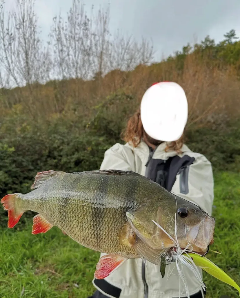 Étang privé en Dordogne