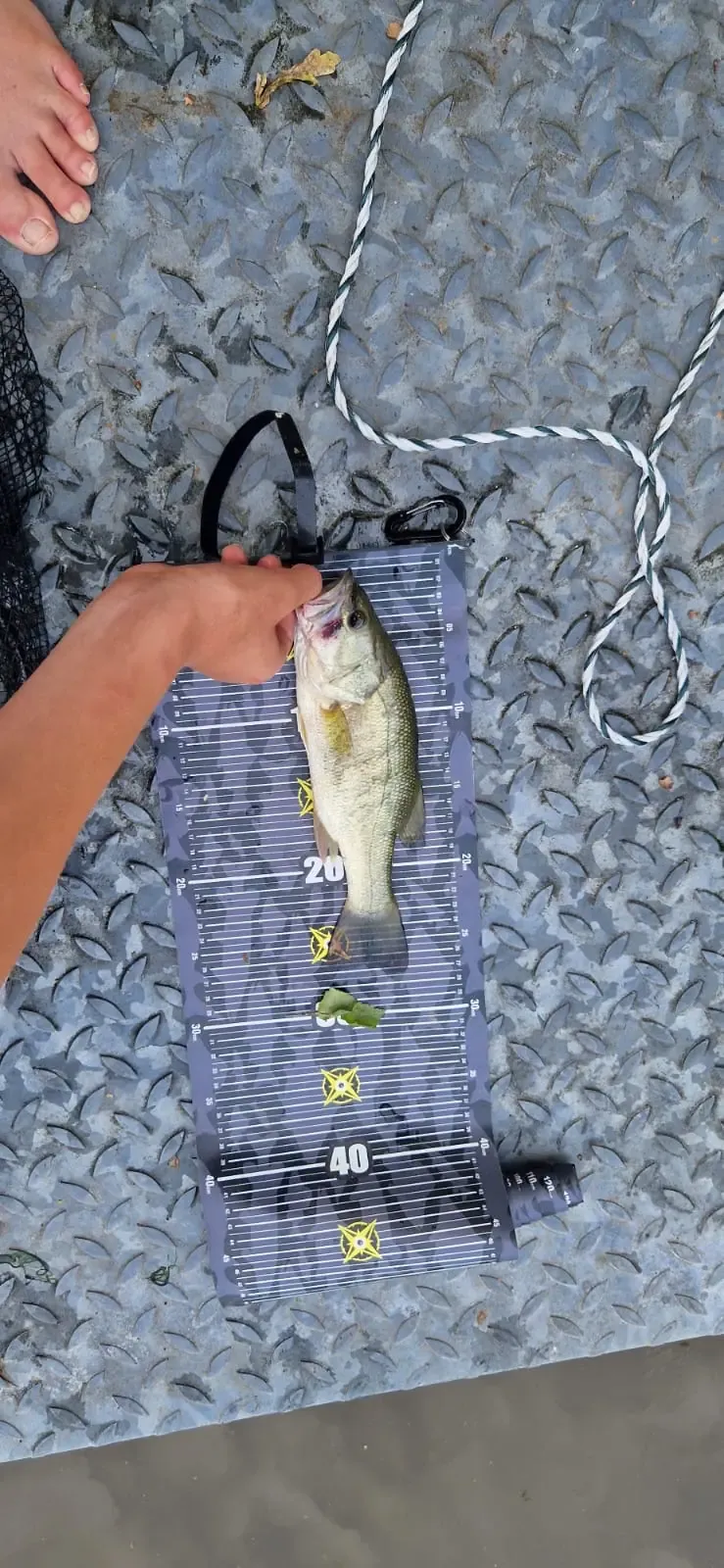 Etang aux portes de la Sologne