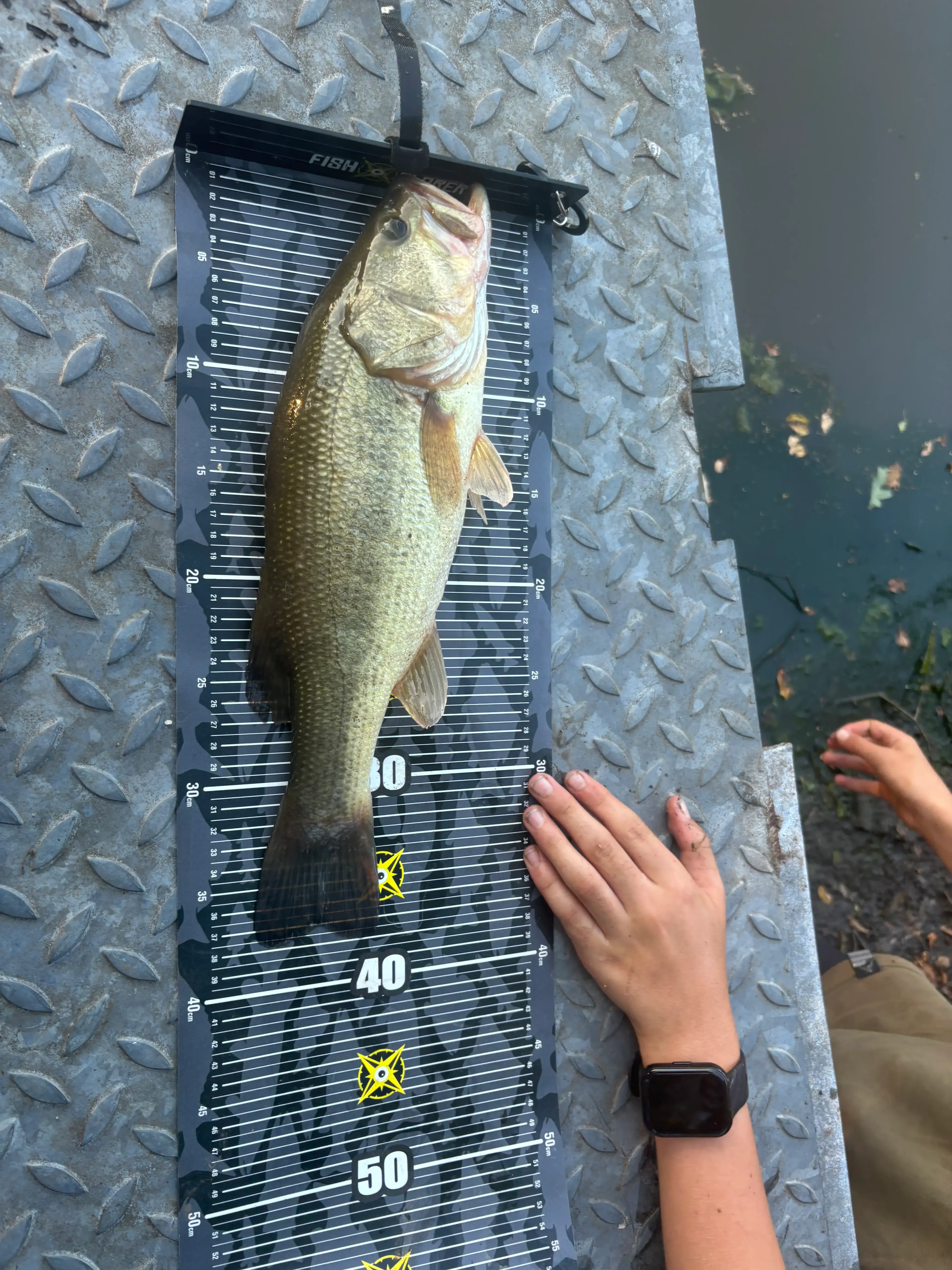 Etang aux portes de la Sologne