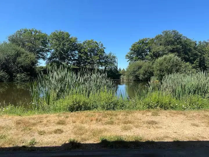Chalet en bord d’étang privé
